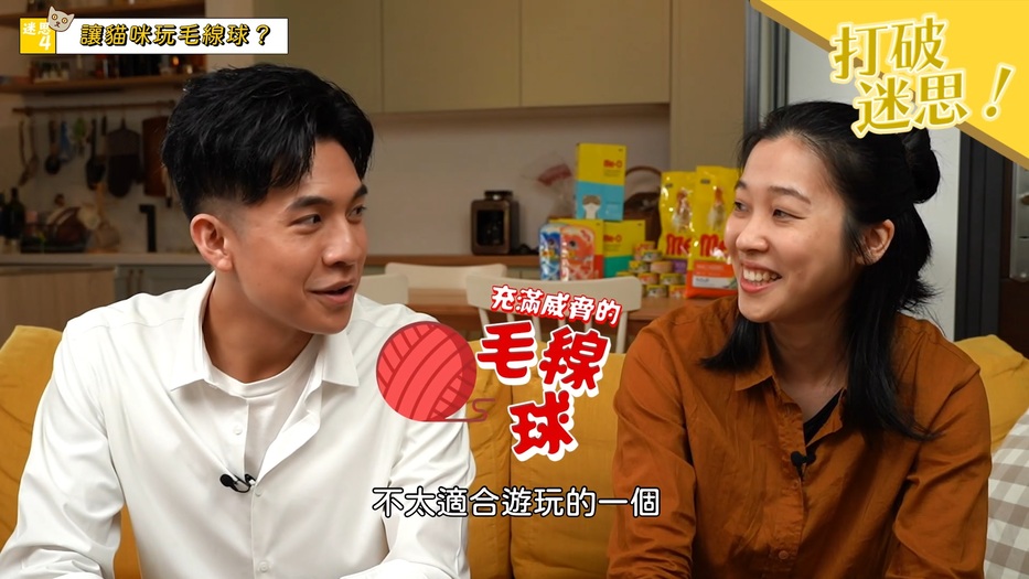養貓須知，盤點五大迷思！