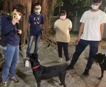 愛動物 x 犬舍管理，為狗狗提供更好的生活品質！
