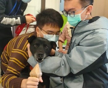 愛動物 x 為了你們的健康