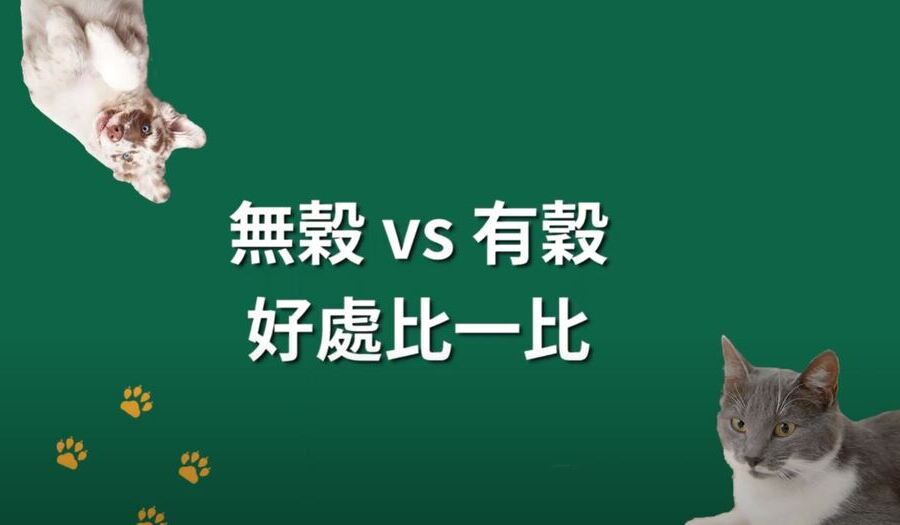 無榖跟有穀飼料到底有什麼差別呢？