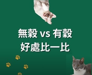無榖跟有穀飼料到底有什麼差別呢？