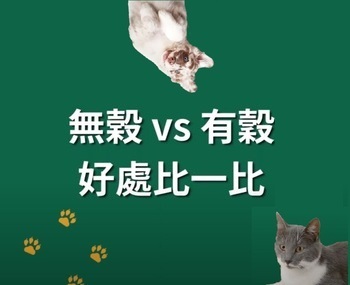 無榖跟有穀飼料到底有什麼差別呢?