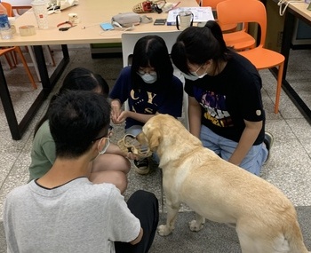 愛動物 x 狗狗的嘴套訓練