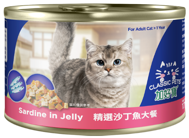 貓罐 - 精選沙丁魚大餐