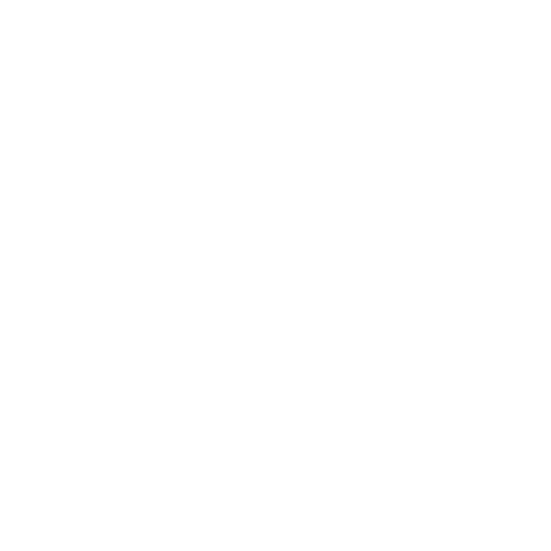 Carrefour 家樂福