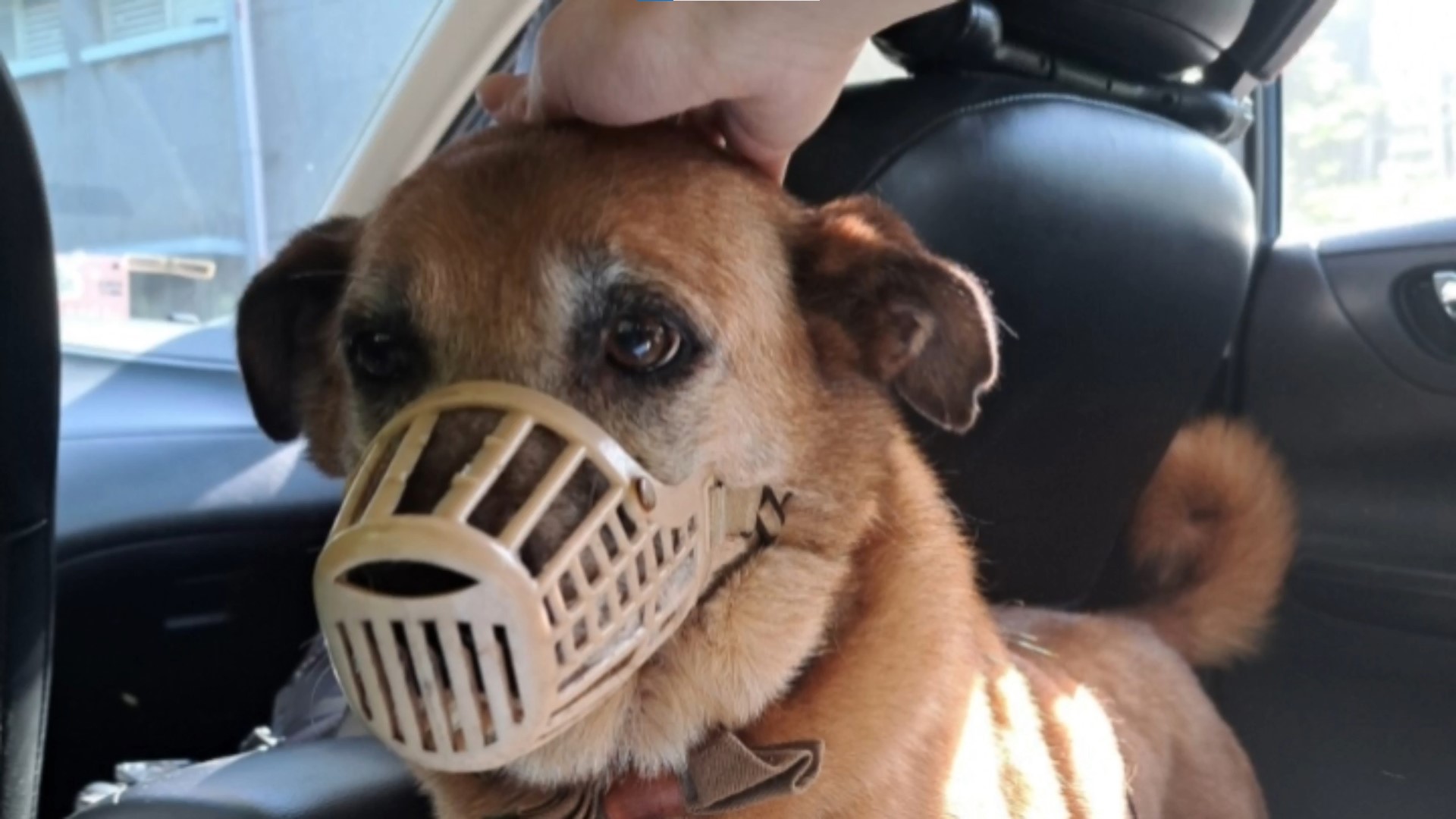 愛動物 x 科普小知識