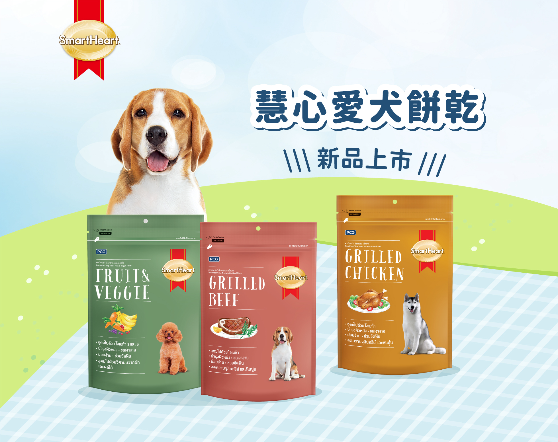 慧心愛犬餅乾新品上市！
